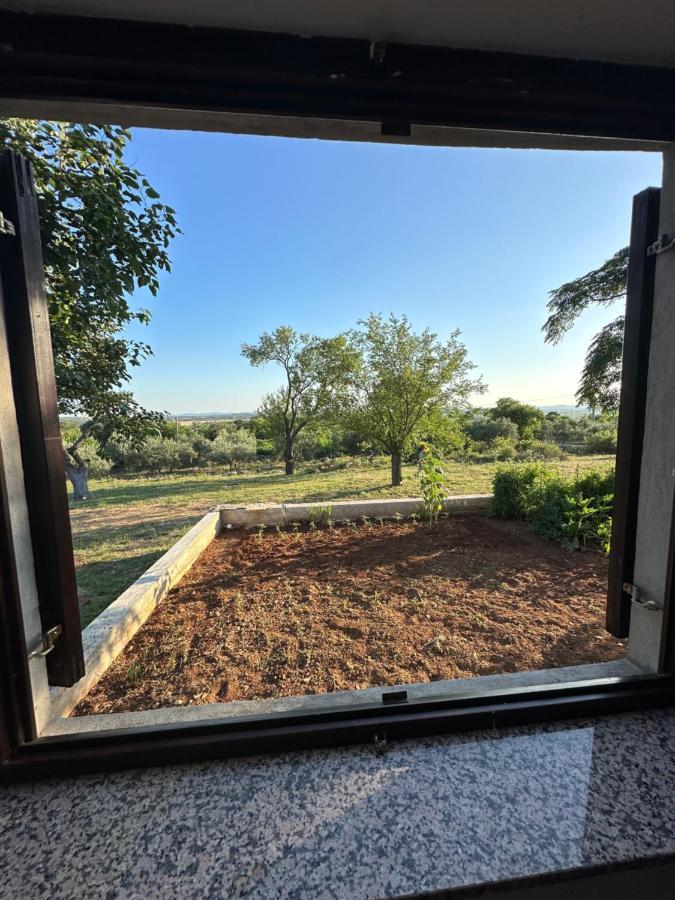 فيلا Relax And Unwind: Family-Friendly House Near Zadar In Zagrad المظهر الخارجي الصورة